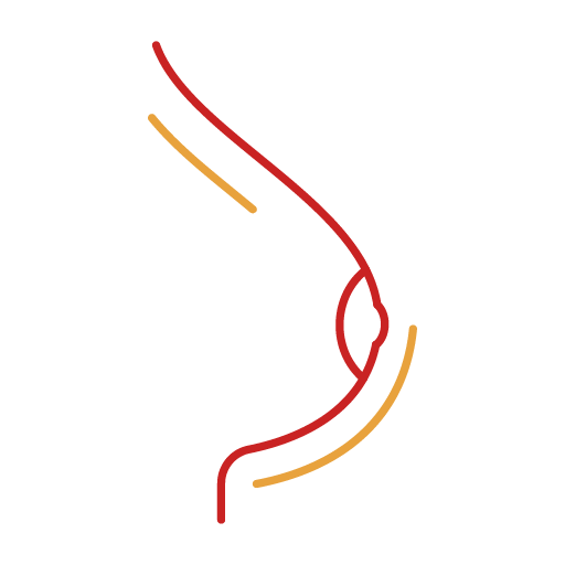 Line image of a breast